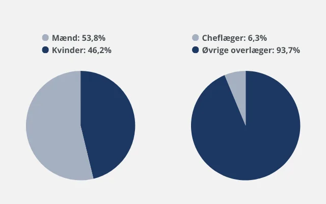 Kønsfordelingen i Overlægeforeningen er 553,8% mænd og 46,2% kvinder.  6,3 % er cheflæger og 93,7% er øvrige overlæger.